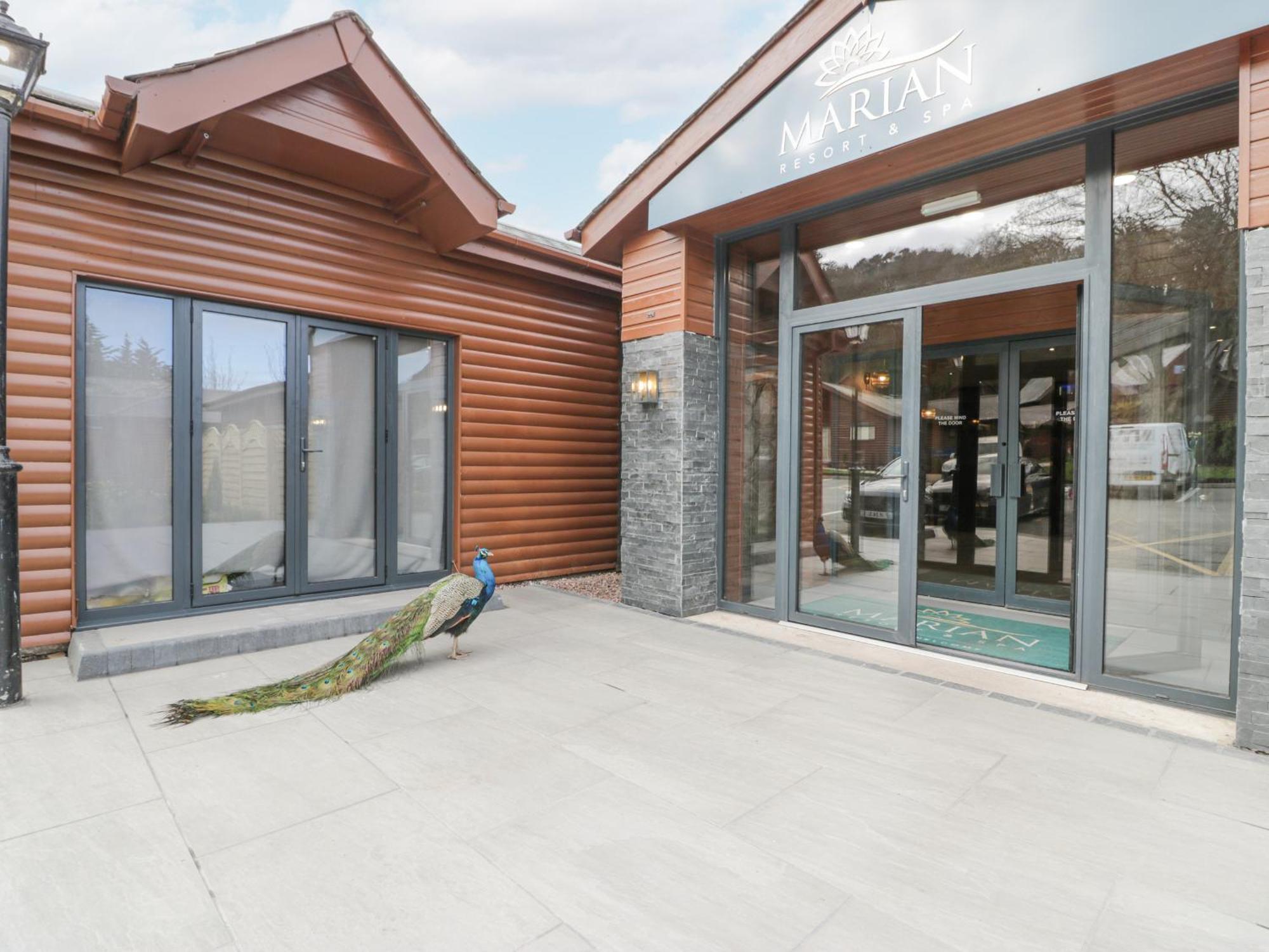 Luxury Lodge 62 Rhyl Bagian luar foto